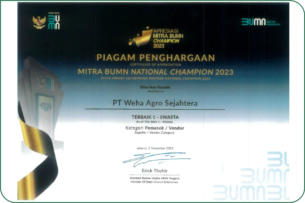 Mitra BUMN National Champion 2023